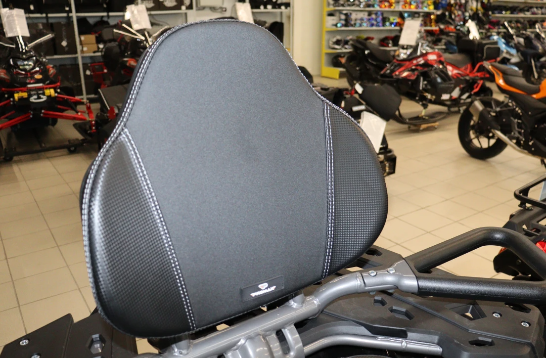 Квадроцикл PROMAX RENEGADE 300 LONG WINCH PRO (2025) в Белгороде