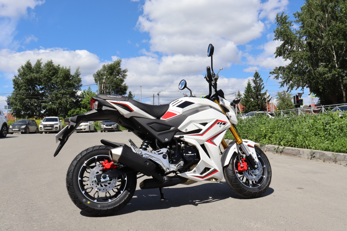 Мотоцикл PROMAX STRYKER 200(49) 2.0 в Белгороде