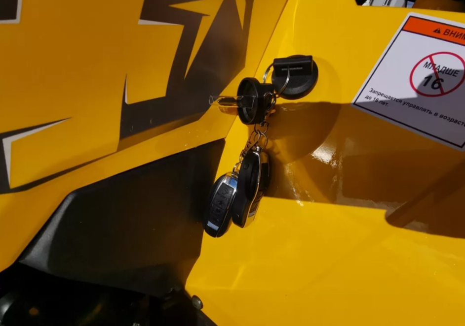 Квадроцикл MOTOLAND (МОТОЛЕНД) VOX200 WILD TRACK X PRO (баланс. вал) в Белгороде