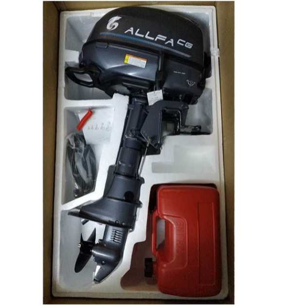 Лодочный мотор ALLFA CG F6 в Белгороде