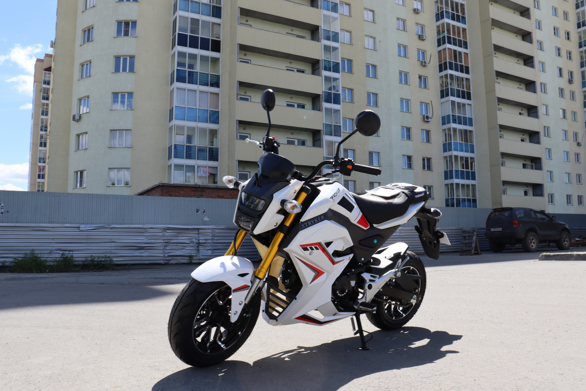 Мотоцикл PROMAX STRYKER 200(49) 2.0 в Белгороде