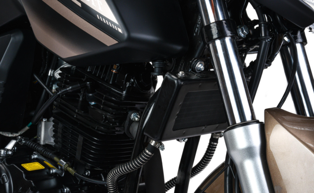 Мотоцикл MOTOLAND (МОТОЛЕНД) 300 BANDIT в Белгороде