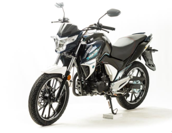 Мотоцикл MOTOLAND (МОТОЛЕНД) FIGHTER 250 в Белгороде