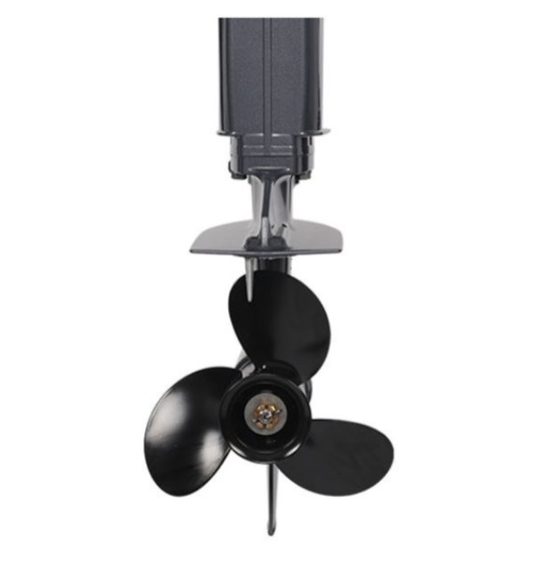 Лодочный мотор ALLFA CG Т40FW S в Белгороде