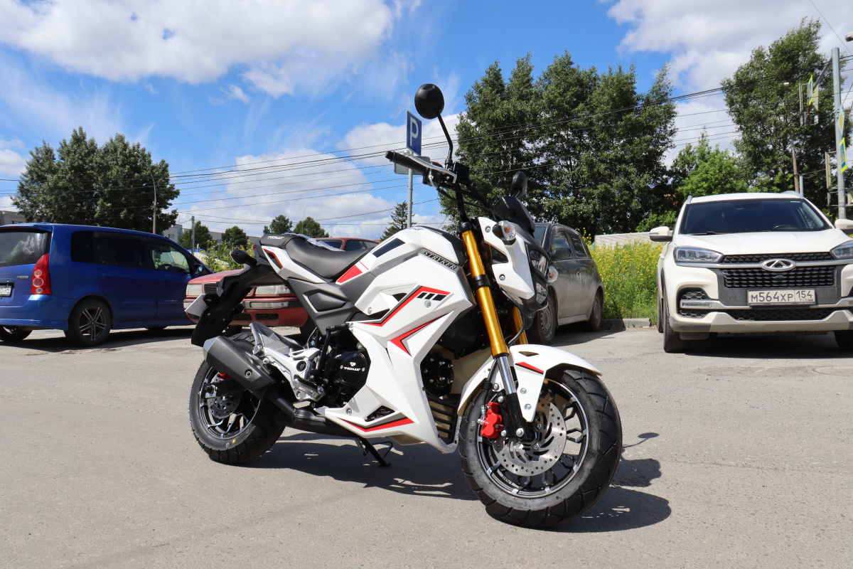 Мотоцикл PROMAX STRYKER 200(49) 2.0 в Белгороде