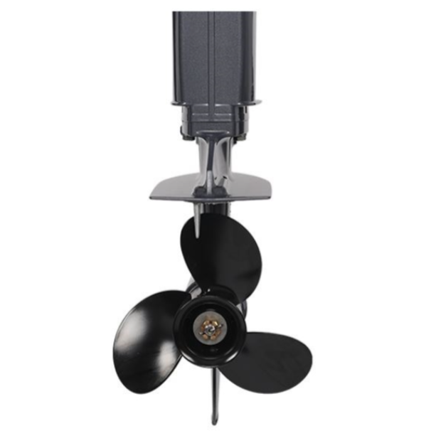 Лодочный мотор ALLFA CG Т40FWT S в Белгороде