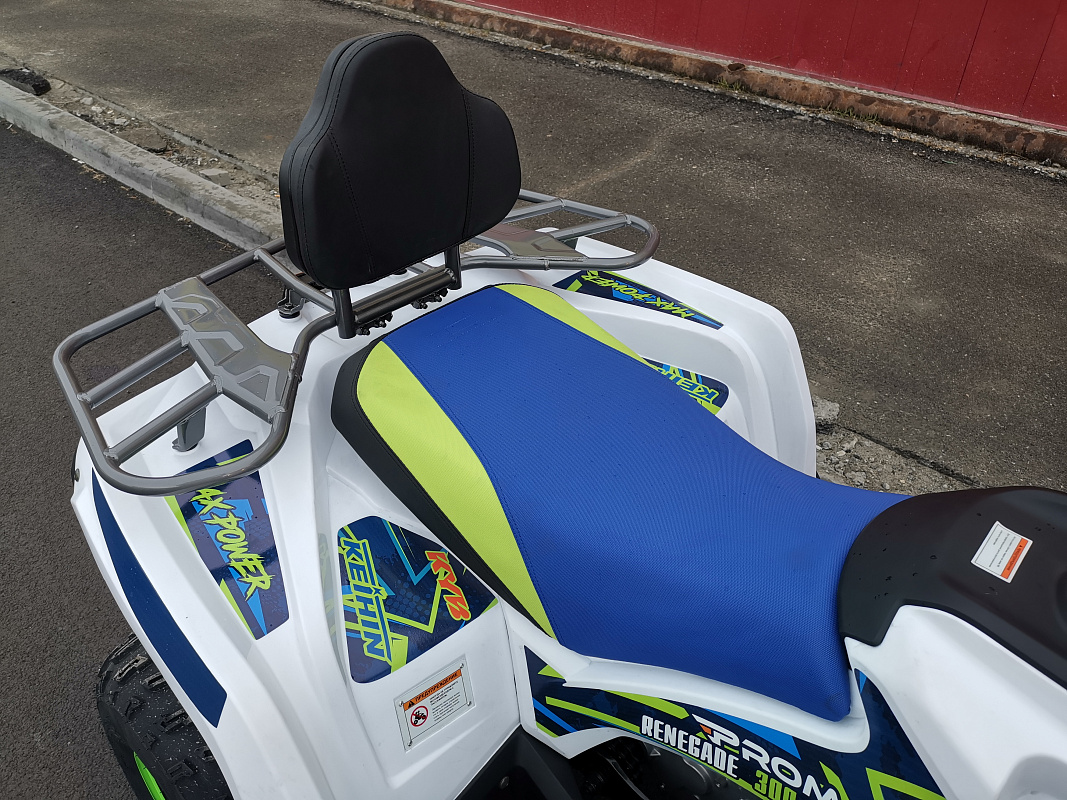 Квадроцикл PROMAX RENEGADE 280 LUX (2025) в Белгороде