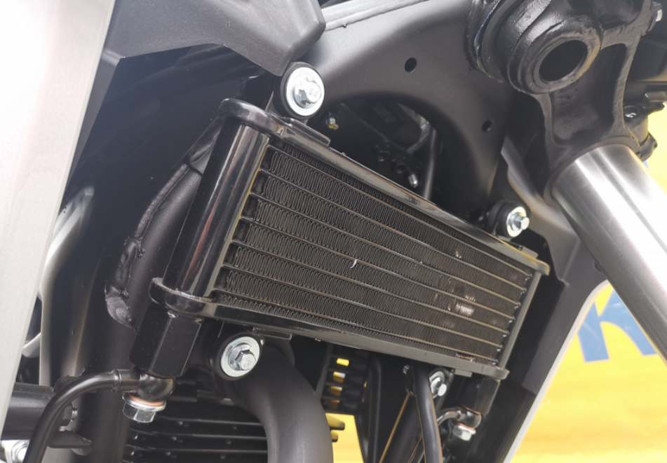 Мотоцикл MOTOLAND (МОТОЛЕНД) 250 CB250 (172FMM-5/PR250) (2022 г.) в Белгороде