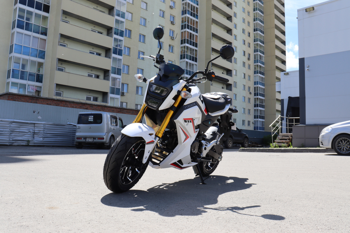 Мотоцикл PROMAX STRYKER 200(49) 2.0 в Белгороде