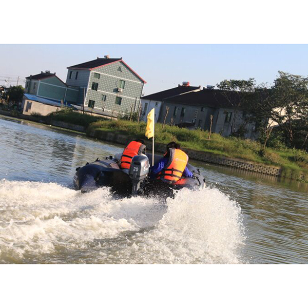 ЛОДОЧНЫЙ МОТОР ALLFA CG Т20 в Белгороде