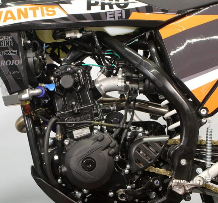 Мотоцикл Avantis Enduro 300 PRO EFI Exclusive (NC250/177MM) ARS в Белгороде