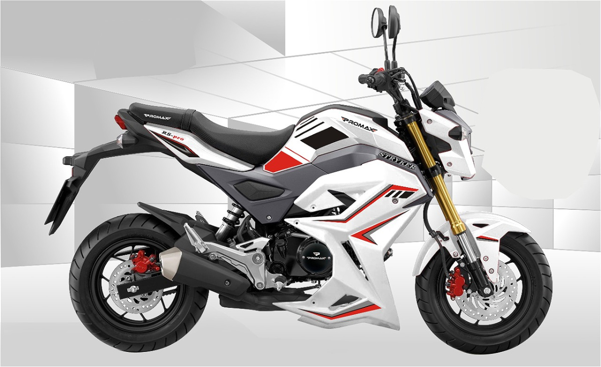 Мотоцикл PROMAX STRYKER 200(49) 2.0 в Белгороде