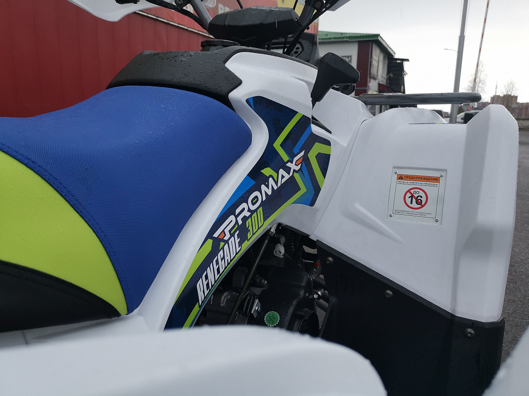 Квадроцикл PROMAX RENEGADE 280 LUX (2025) в Белгороде
