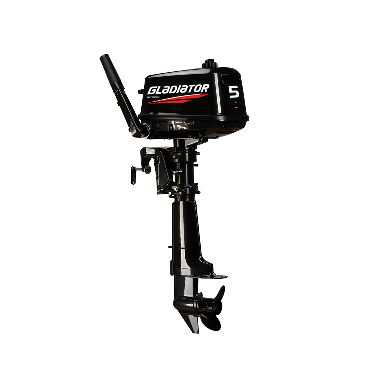 ЛОДОЧНЫЙ МОТОР GLADIATOR G5FHS в Белгороде