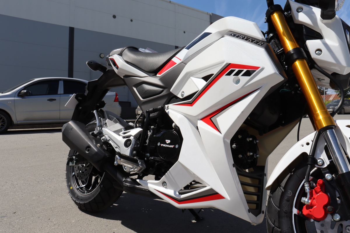 Мотоцикл PROMAX STRYKER 200(49) 2.0 в Белгороде