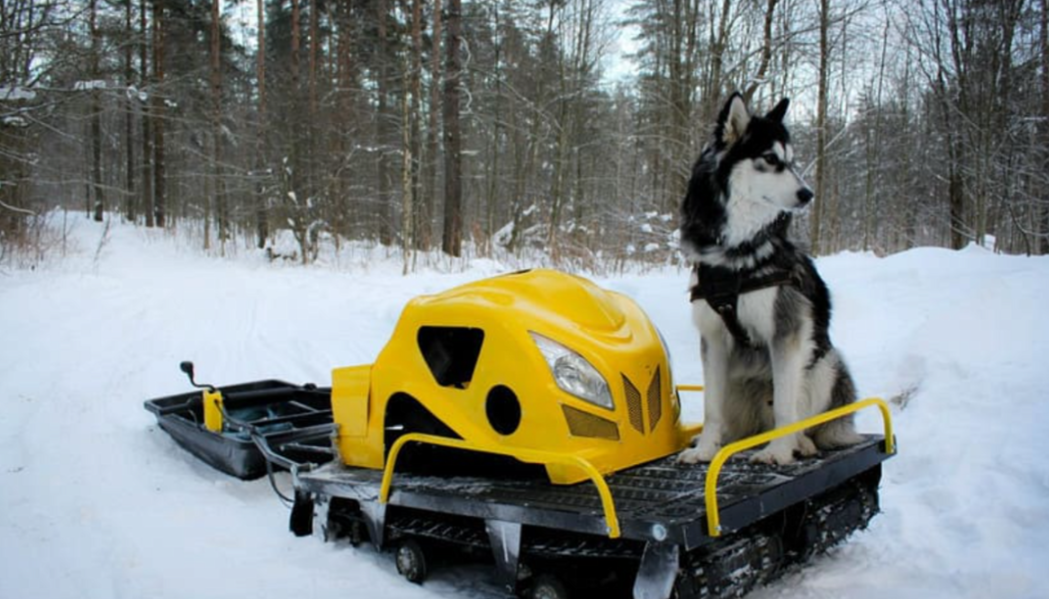 Мотобуксировщик LEBEDEV MOTORS ВОЛКОДАВ POWER V13 в Белгороде