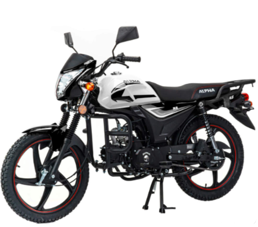 Мопед MOTOLAND (МОТОЛЕНД) Альфа RS 11 (LM48-B) в Белгороде