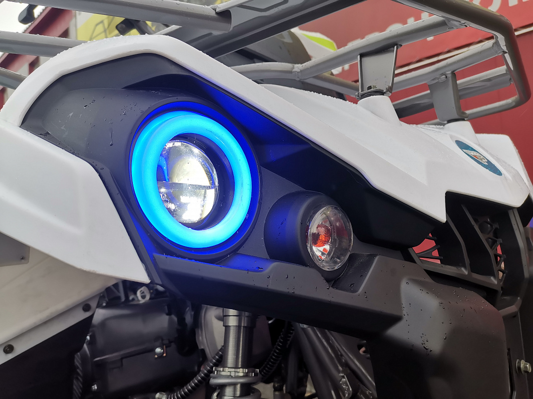 Квадроцикл PROMAX RENEGADE 280 LUX (2025) в Белгороде