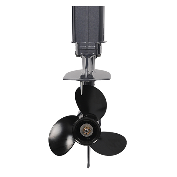 Лодочный мотор ALLFA CG T9.9(20) MAX Limit в Белгороде