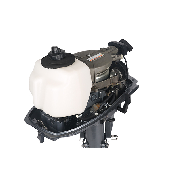 ЛОДОЧНЫЙ МОТОР ALLFA CG T5 в Белгороде