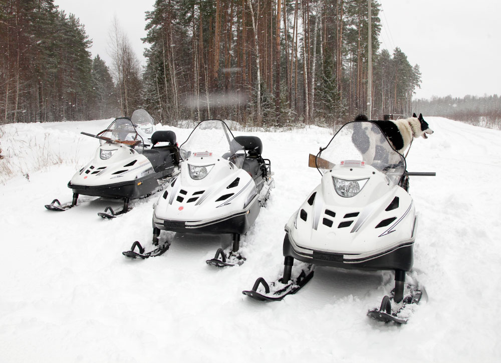 СНЕГОХОД РМ ТАЙГА ВАРЯГ 550 V в Белгороде