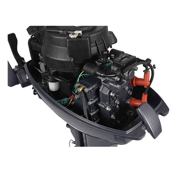 ЛОДОЧНЫЙ МОТОР ALLFA CG Т9,9 в Белгороде