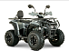 Квадроцикл YACOTA DRAGON LUX LD 150 PRO-SPORT в Белгороде
