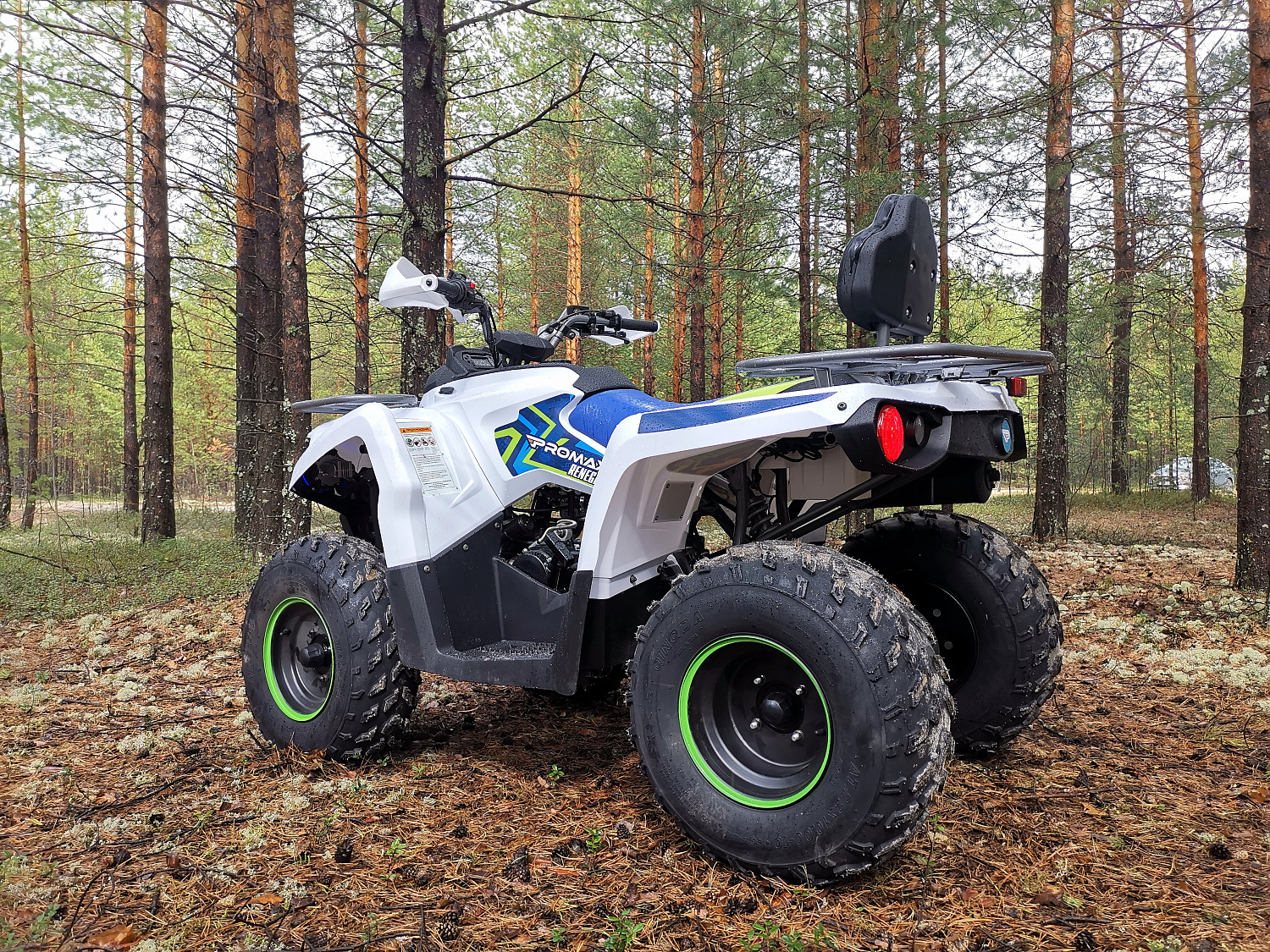 Квадроцикл PROMAX RENEGADE 280 (2025) в Белгороде