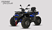 Квадроцикл PROMAX TAURUS 300 MAX-PRO LONG в Белгороде