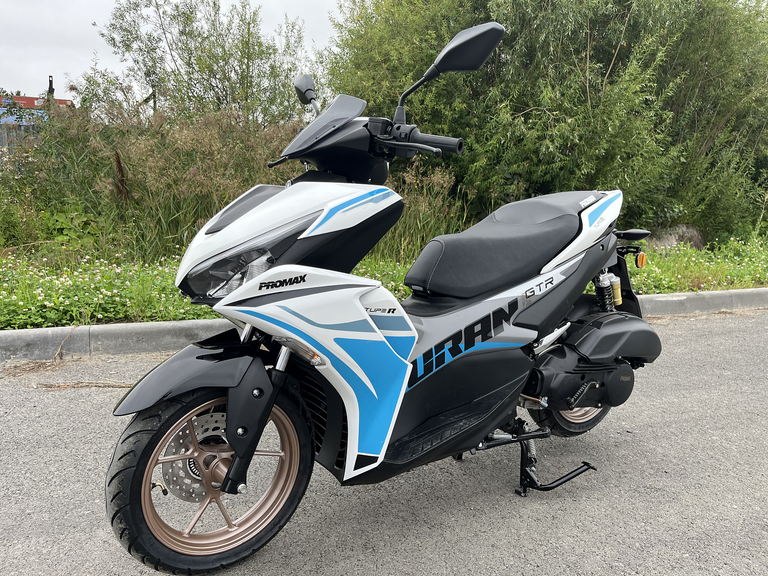 Скутер PROMAX TURAN 250 (49) в Белгороде