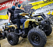 Квадроцикл PROMAX ATV 250 (2025) в Белгороде