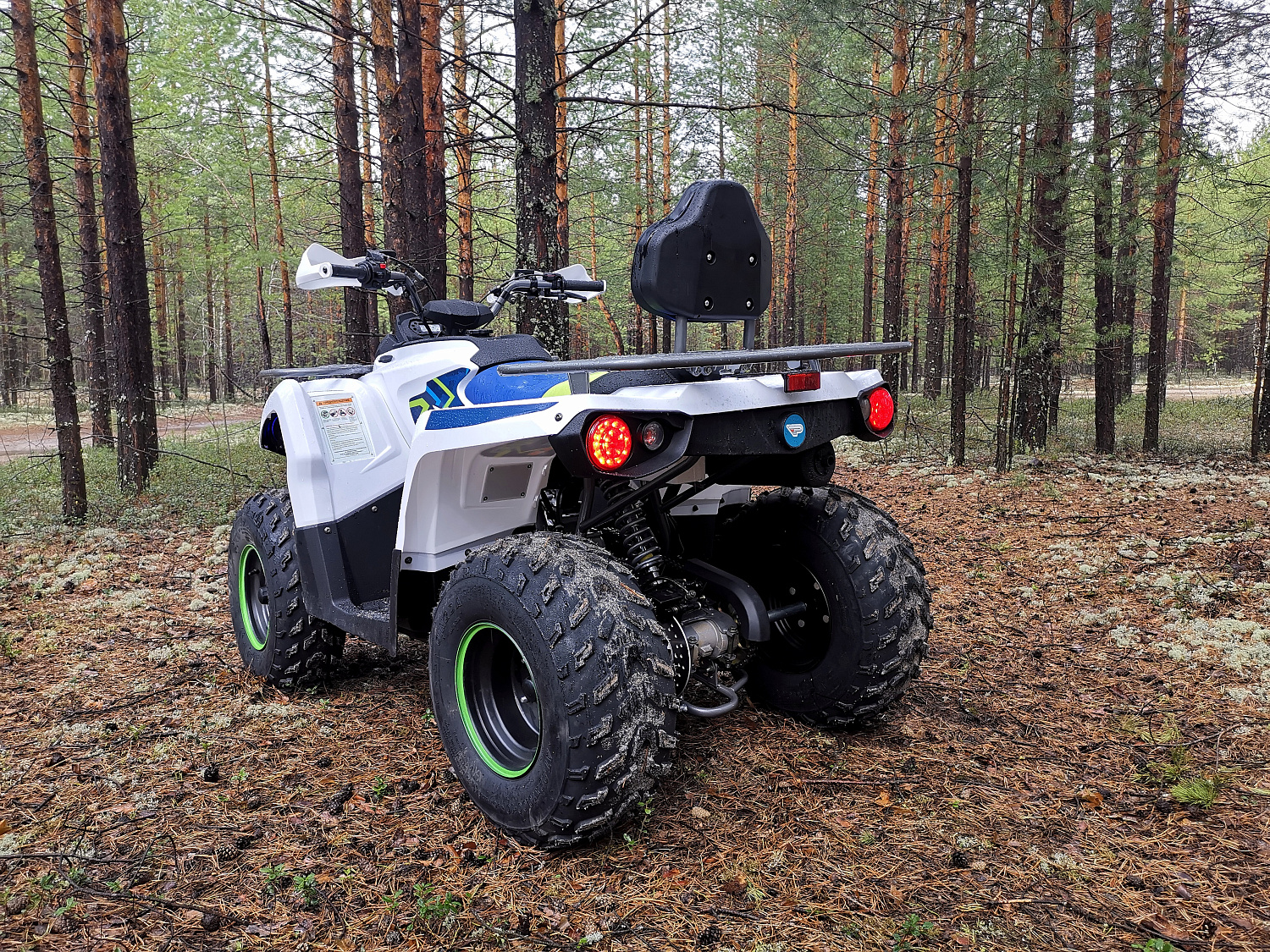 Квадроцикл PROMAX RENEGADE 280 (2025) в Белгороде