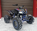 Квадроцикл PROMAX RAPTOR 300 NEW RedBull в Белгороде