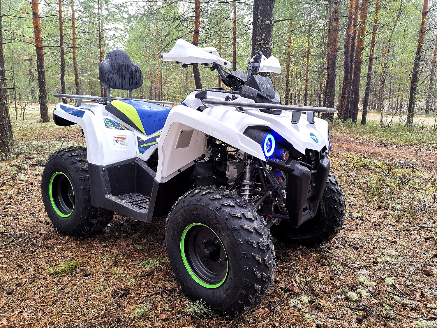 Квадроцикл PROMAX RENEGADE 280 (2025) в Белгороде