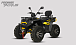 Квадроцикл PROMAX TAURUS 300 MAX-PRO LONG в Белгороде